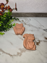 Load image into Gallery viewer, Rosy Bubbles Soap
